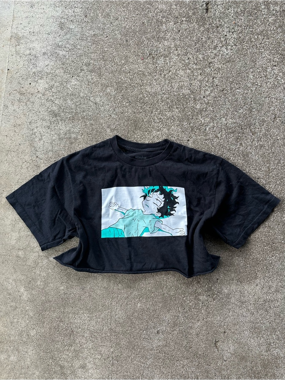 Atsuko My hero Academia Quirkless Anime Character Cropped Top